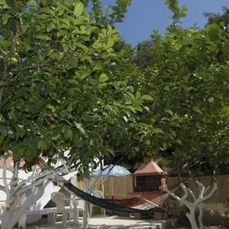 Apartment Paraskevi
